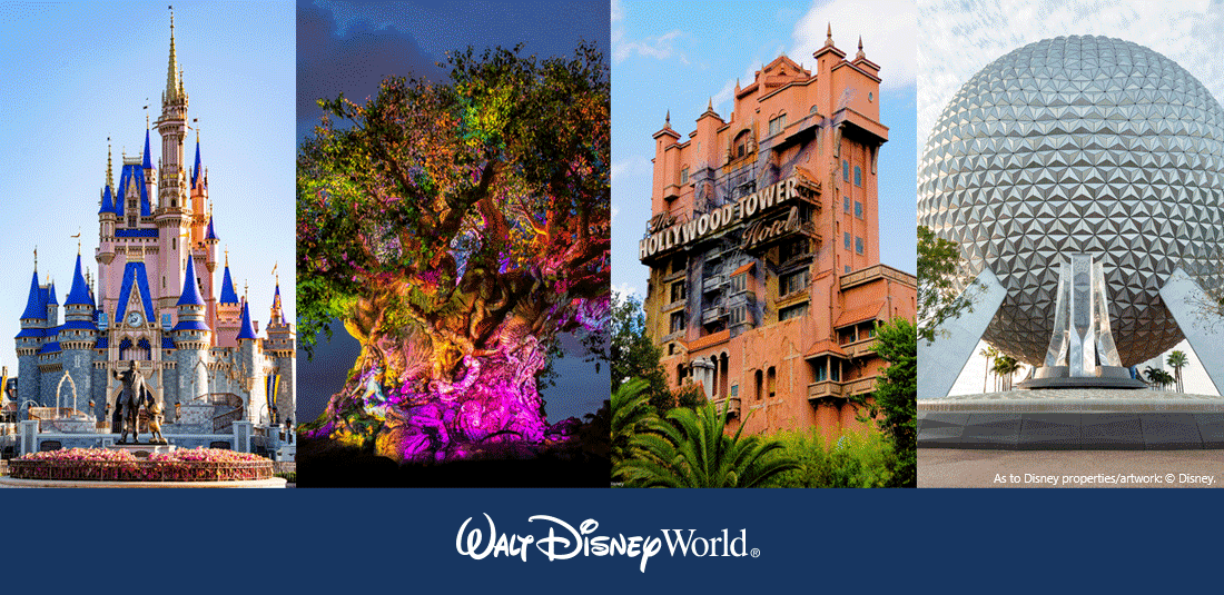 walt disney world