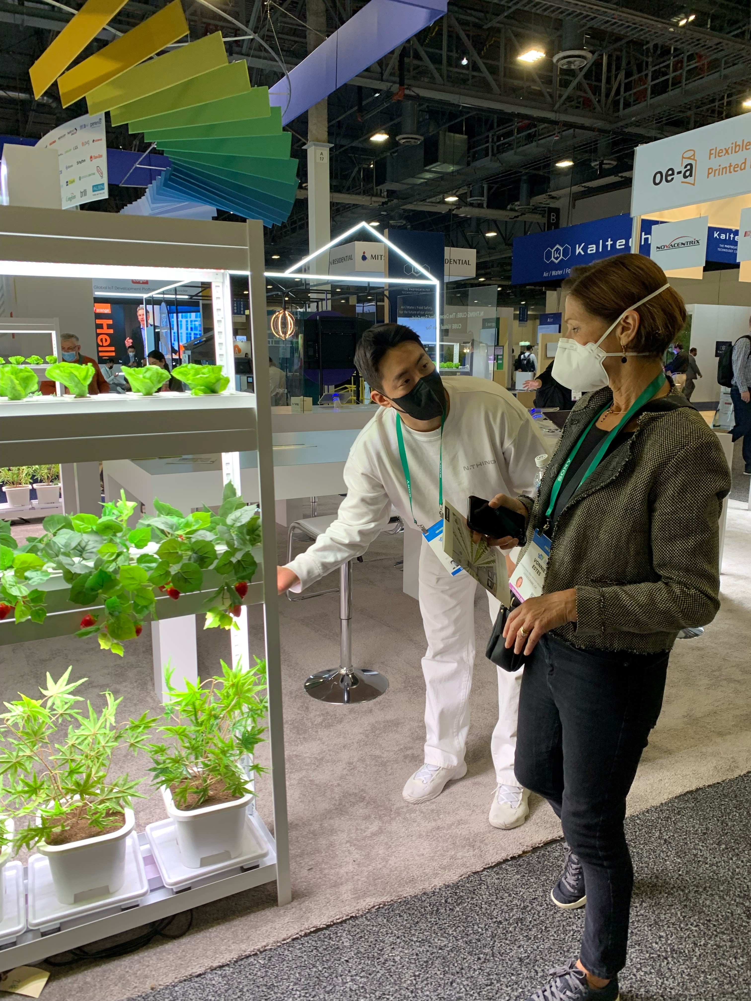 NThing vertical farming strawberries