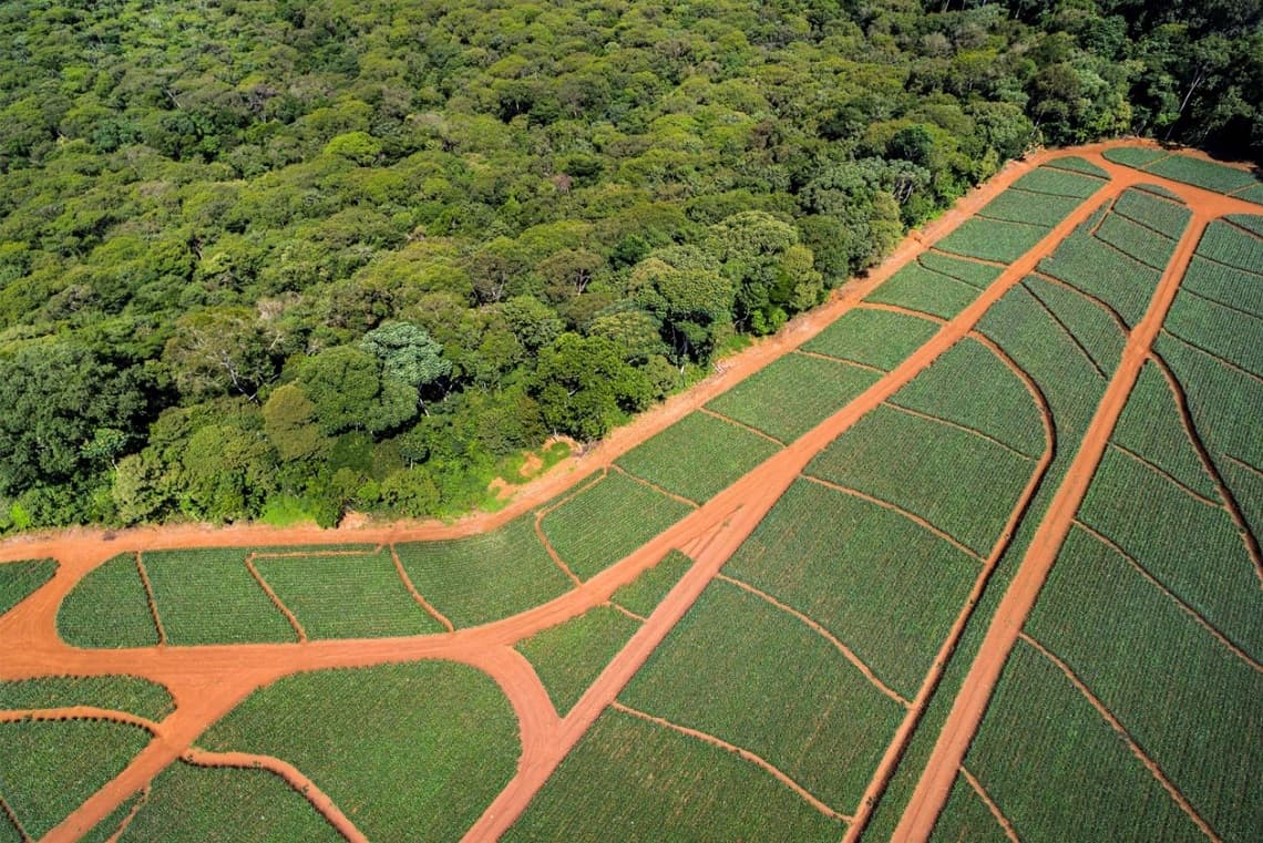 Arial view of crops up against a heavily wooded area to show reforestation.