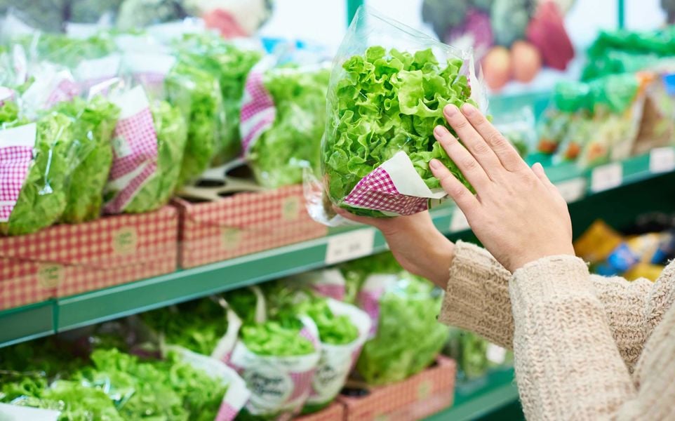 The hand of a white woman in a tan sweater selects a lettuce plant suitable for replanting from store shelf.