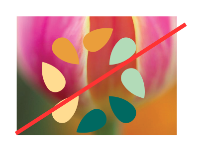 misuse seed 4 of 6.png