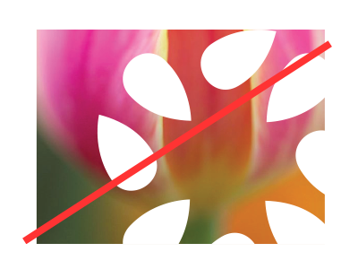 Seed misuse example: enlarging icon