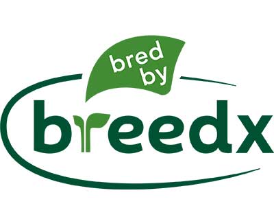 Breed X logo