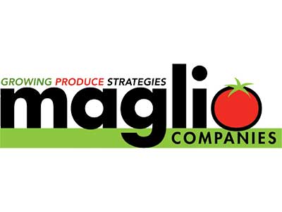 Maglio logo Maglio logo