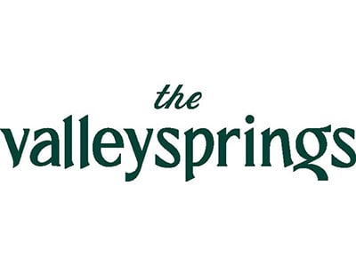 The Valley Springs logo