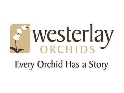Westerlay logo