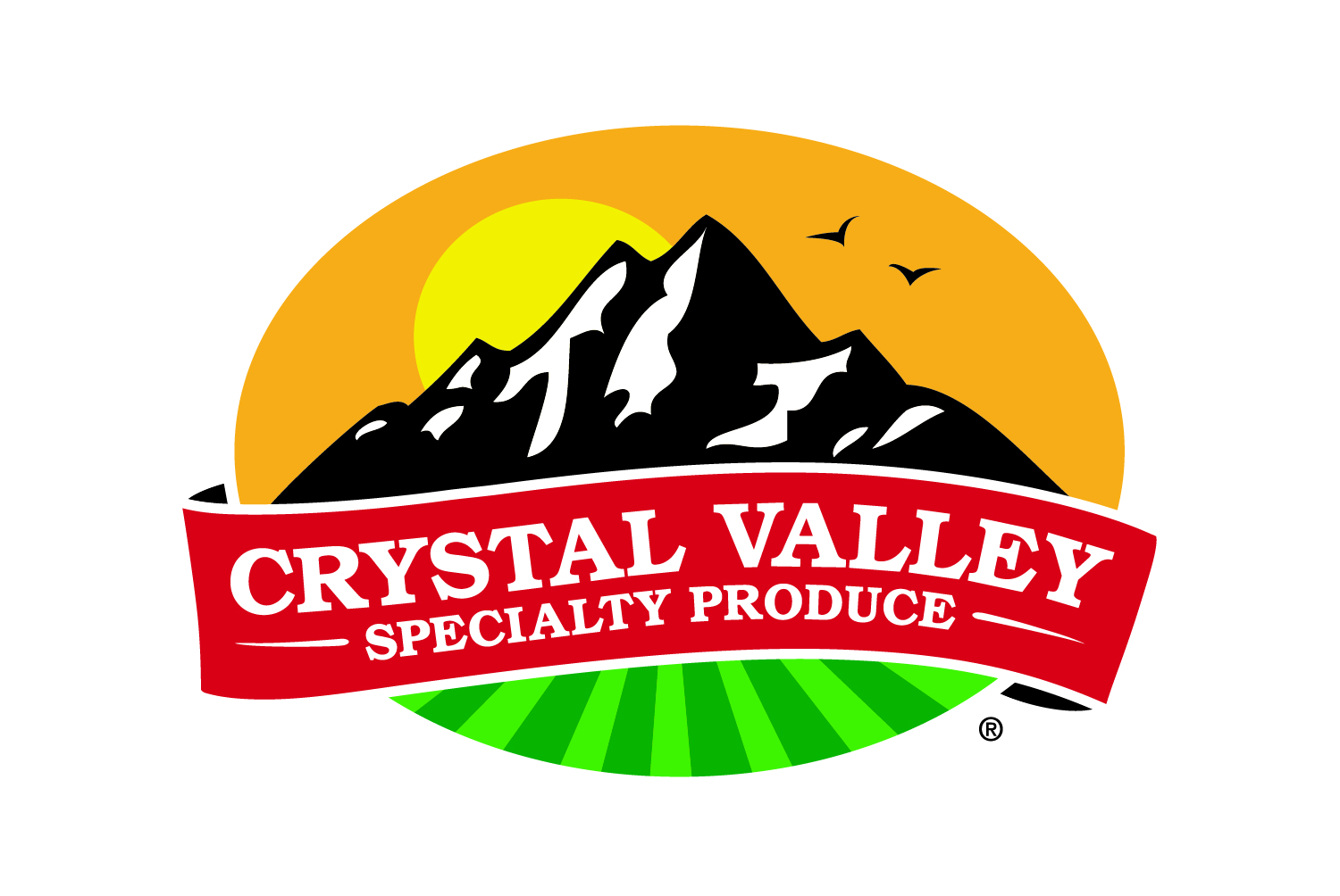 Crystal Valley Logo Crystal Valley Logo