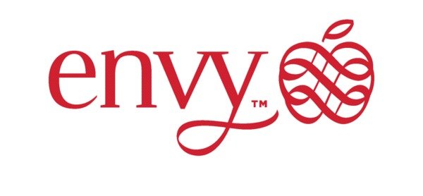 Envy Logo Envy Logo