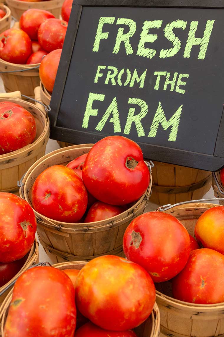 Baskets of red tomatoes with a chalkboard sign reading "FRESH FROM THE FARM."