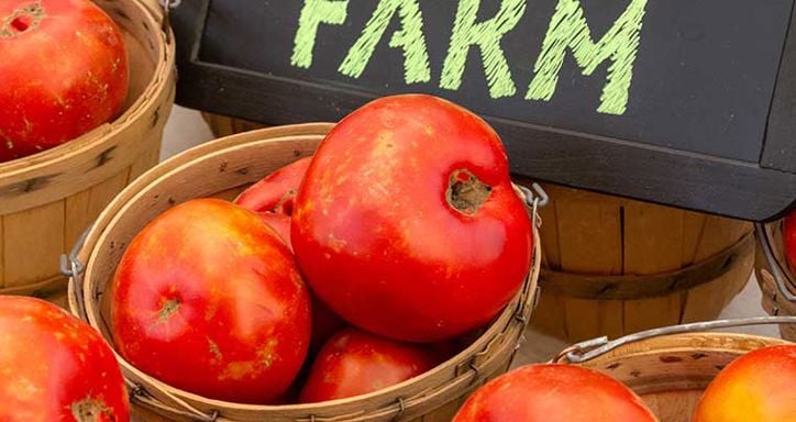 Baskets of red tomatoes with a chalkboard sign reading "FRESH FROM THE FARM."