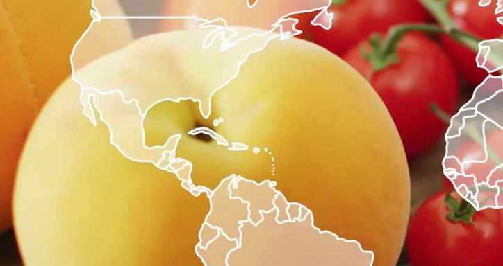A world map overlaying an assortment of tomatoes and peaches.