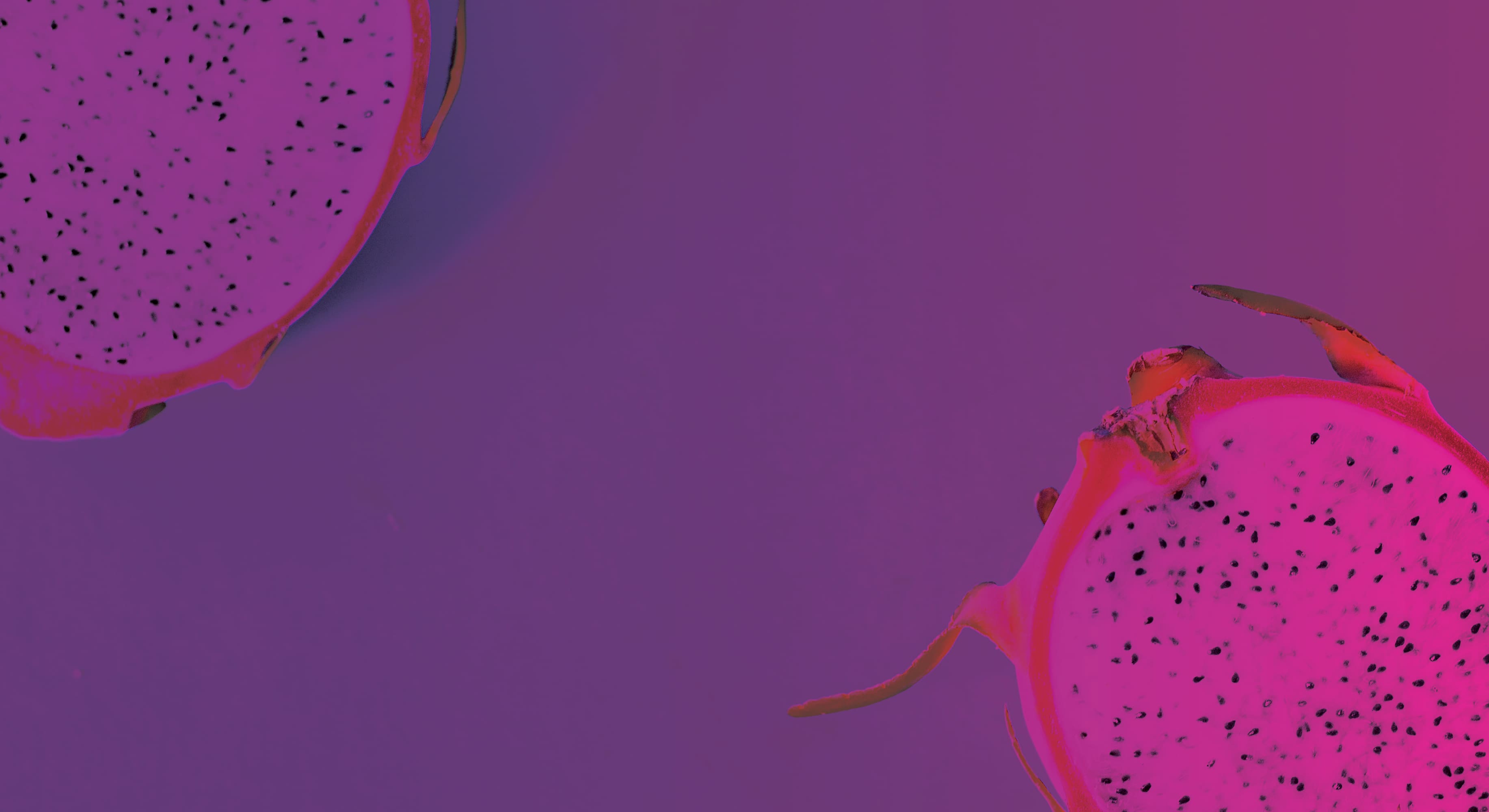 The Consumer Connection Conference