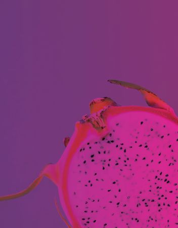 Promo feature image for The Consumer Connection Conference