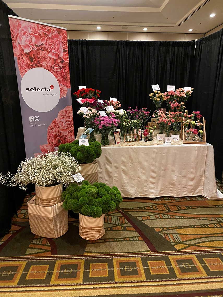 Floral exhibition booth with a "selecta" banner, green and white plants in pots, and a variety of colorful carnations on a table.