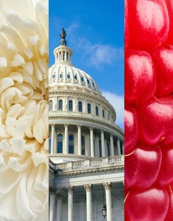 Promo feature image for The Washington Conference
