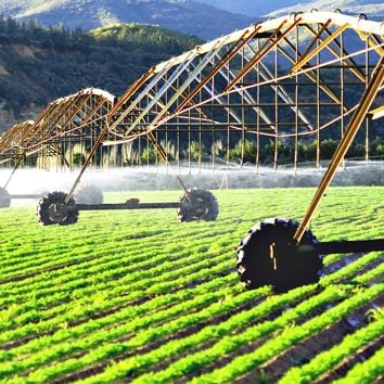 Modern irrigation system watering a farm field of carrots in late afternoon sunlight