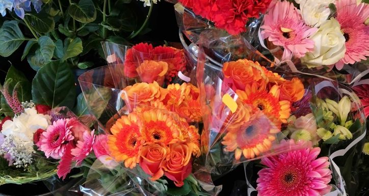 Bunch, bush or bouquet of flowers on sale in retail flower shop.