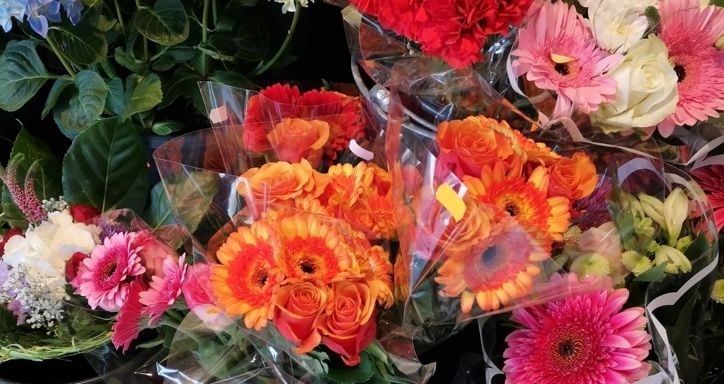 Bunch, bush or bouquet of flowers on sale in retail flower shop.