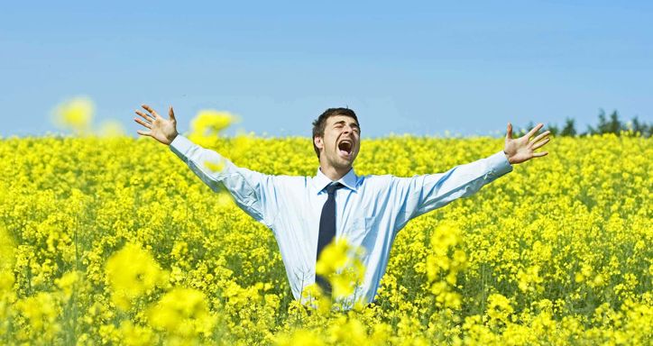 Businessman happy in a field of yellow flowers