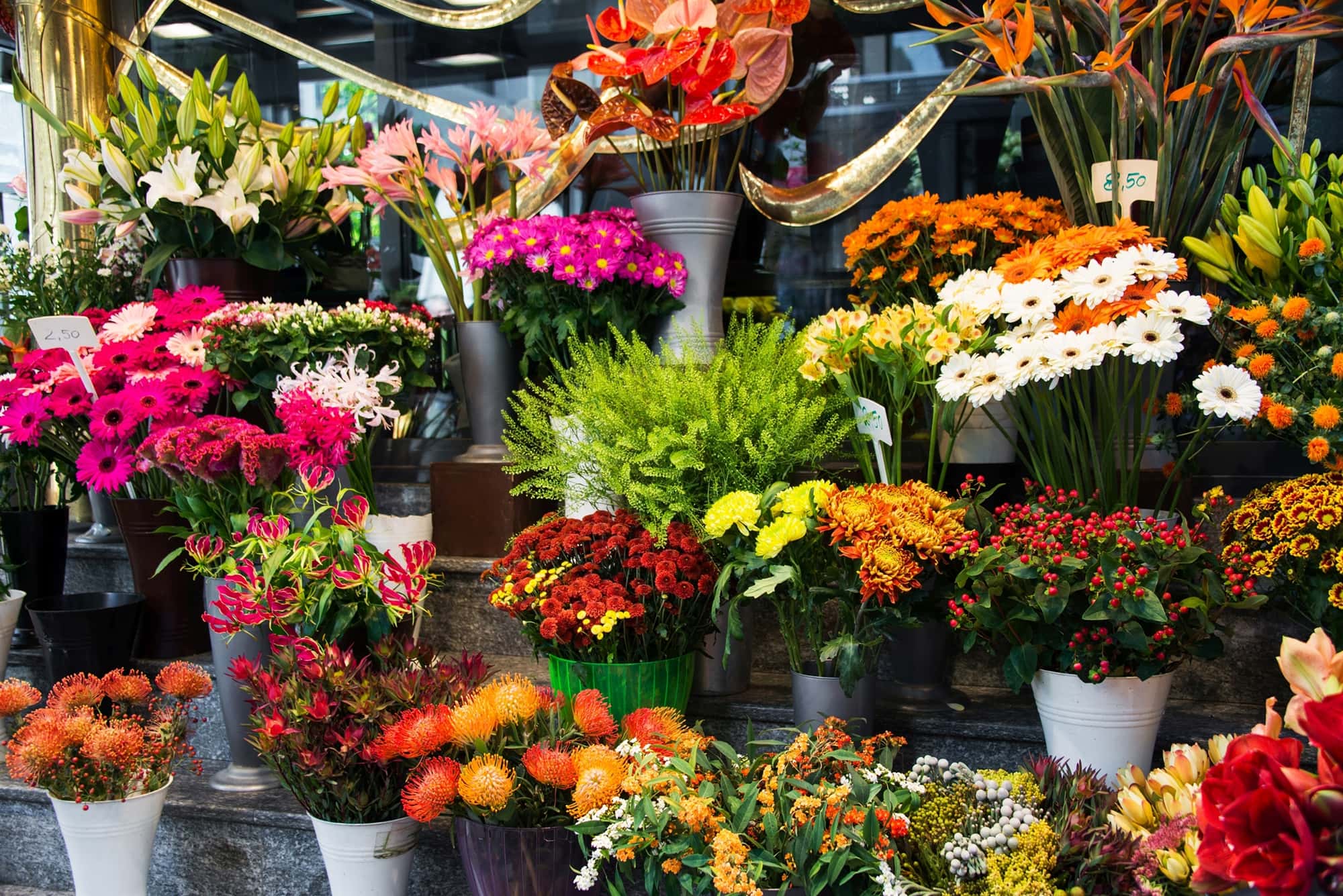 Use It or Lose It: Floral Color Trends at Retail Webinar