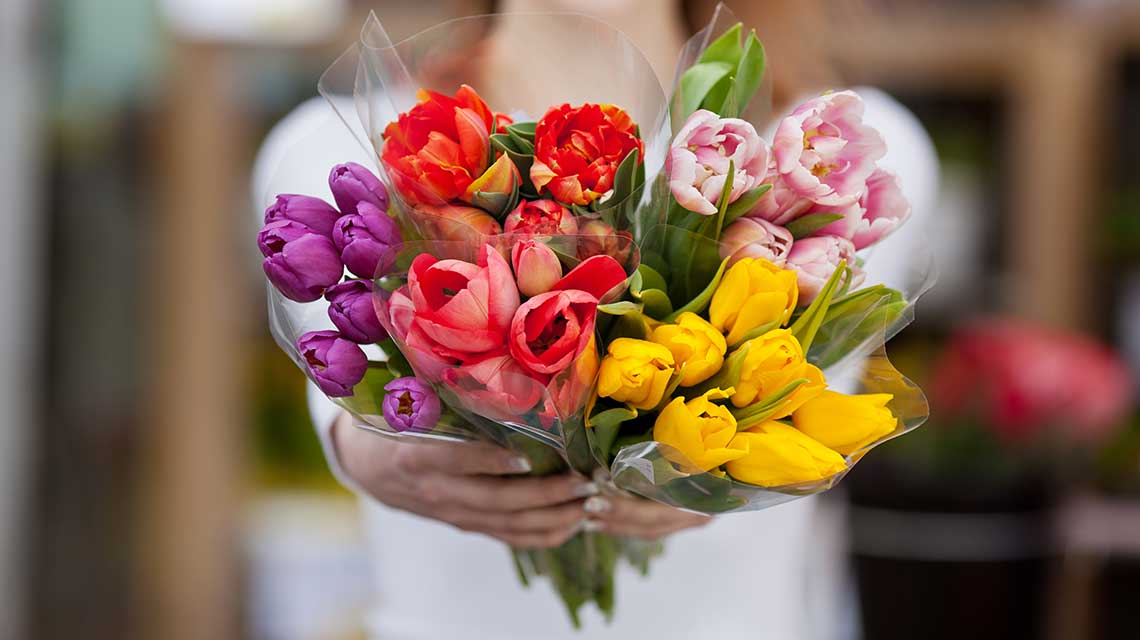 A colorful bouquet of tulips in red, pink, purple, and yellow, held by a person with a blurred background.