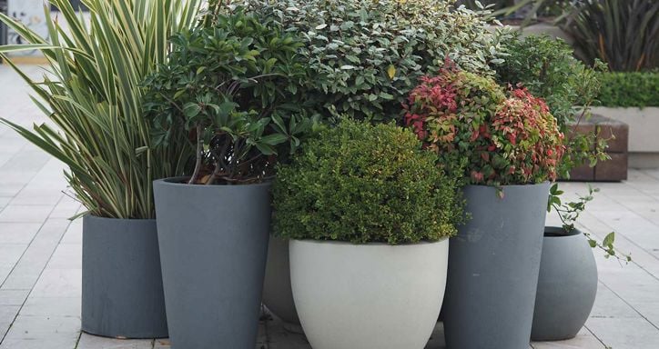 A cluster of potted plants in gray and white planters, featuring tall grasses and colorful foliage, arranged on a stone-paved surface in an outdoor urban setting.