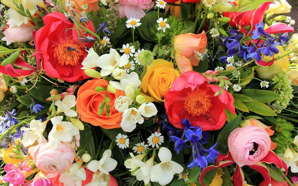 A colorful bouquet featuring red peonies, orange roses, white daisies, blue delphiniums, and pink ranunculus flowers.