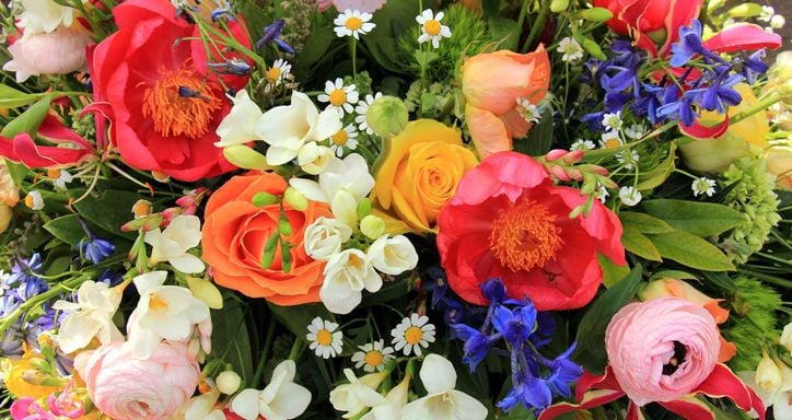 A colorful bouquet featuring red peonies, orange roses, white daisies, blue delphiniums, and pink ranunculus flowers.