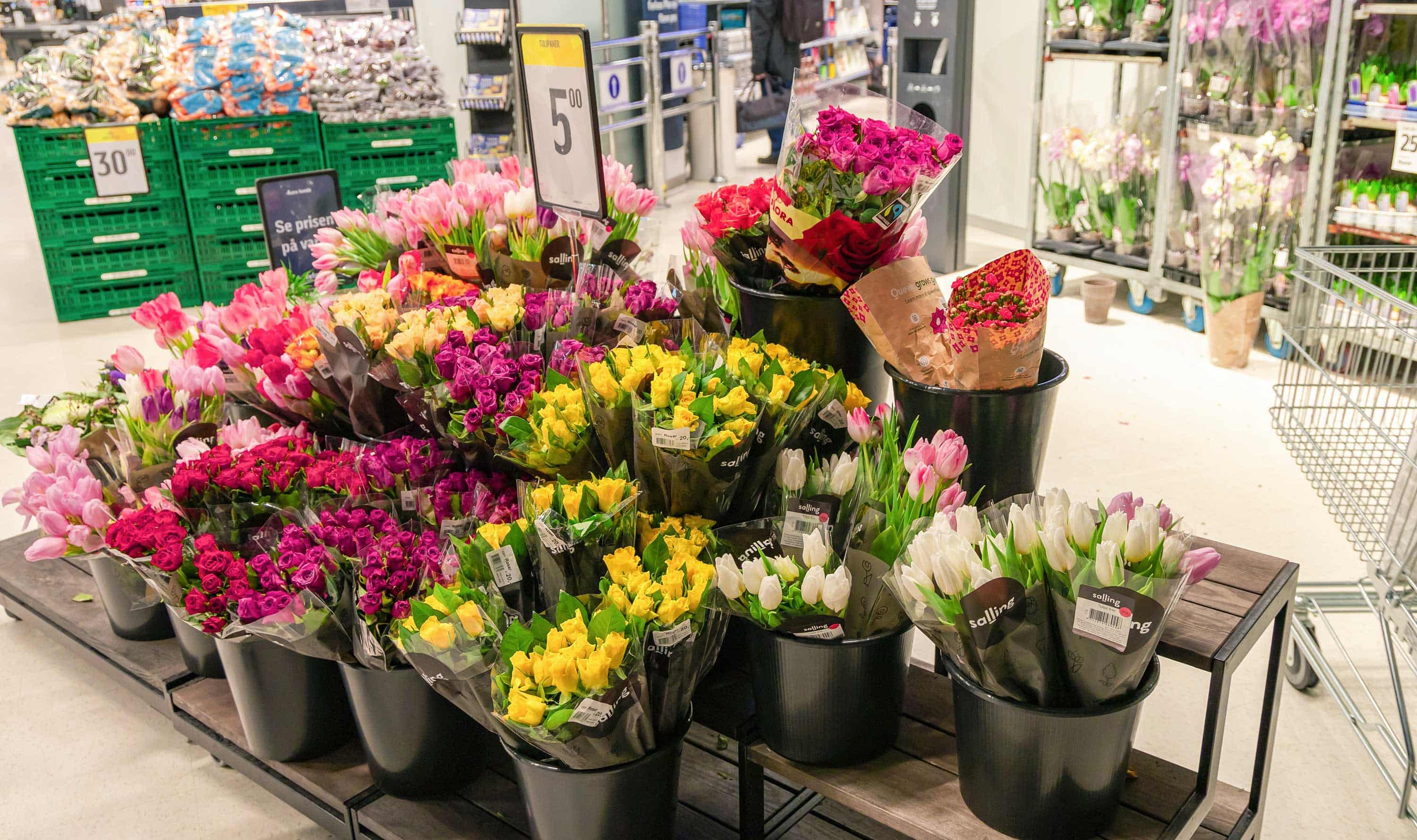 Information Sources for Floral