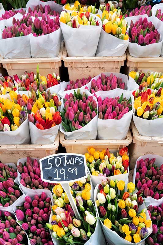 Bunches of colorful tulips wrapped in white paper with a chalkboard sign displaying price.