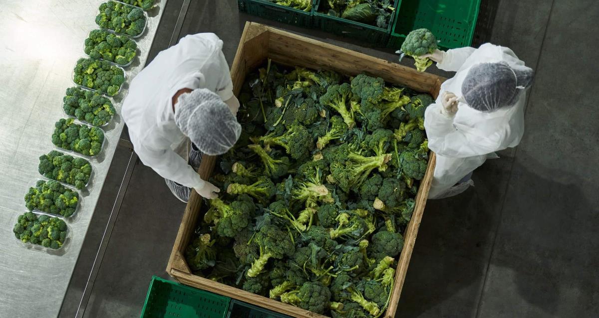 Produce Inspection Training Program