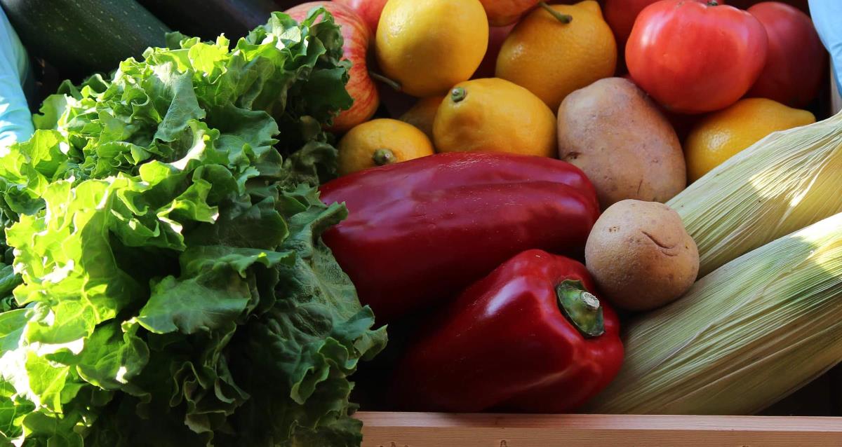 History of Produce Safety