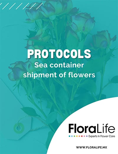 Teal colored title page with the words PROTOCOLS Sea Container of Shipment of Flowers