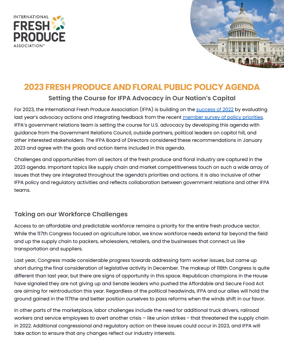 cover page of the 2023 Policy Priorities PDF cover page