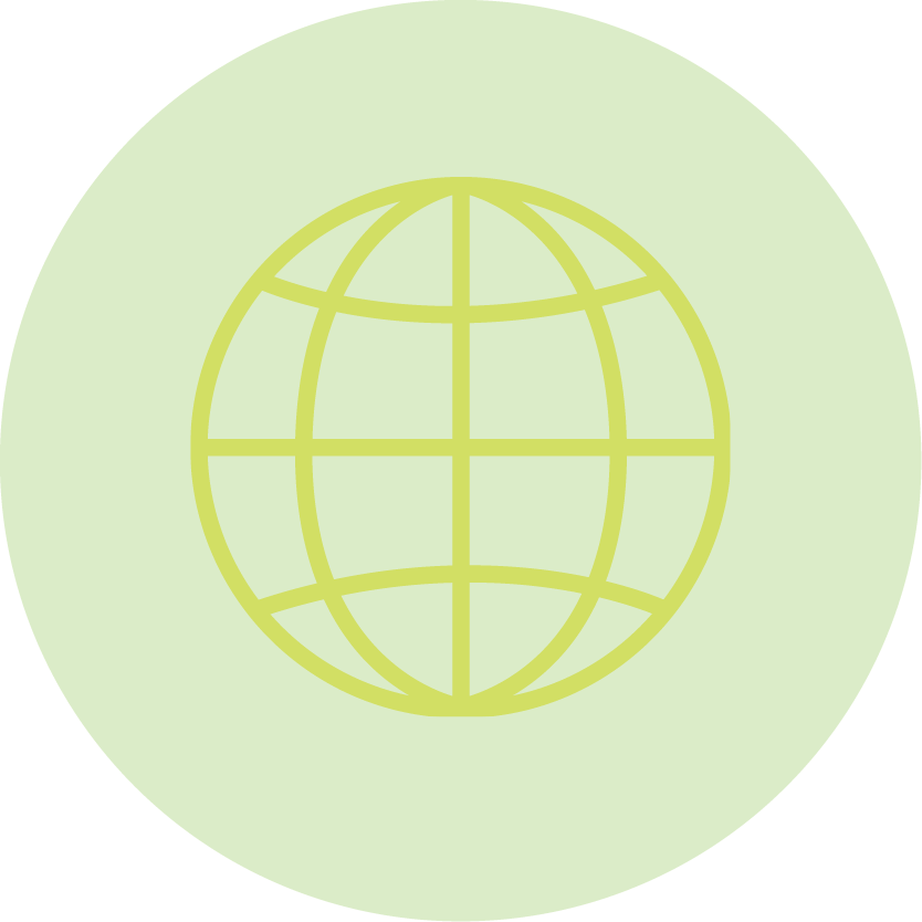 icon representing the globe
