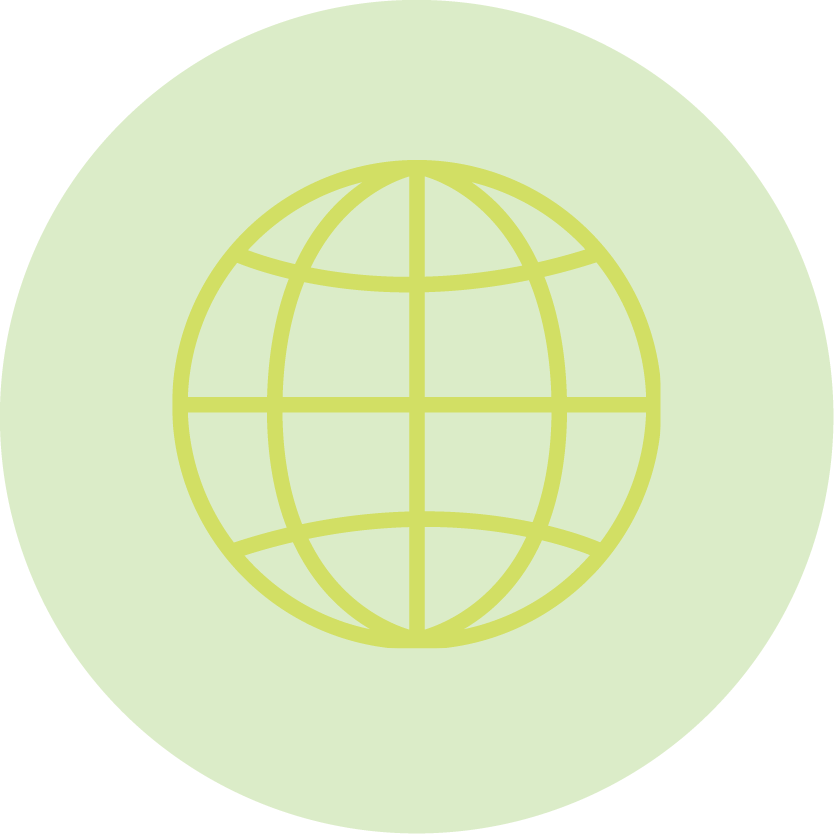 icon representing the globe