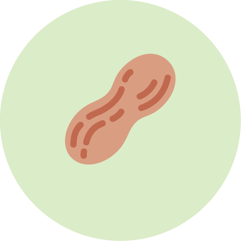 Peanut icon