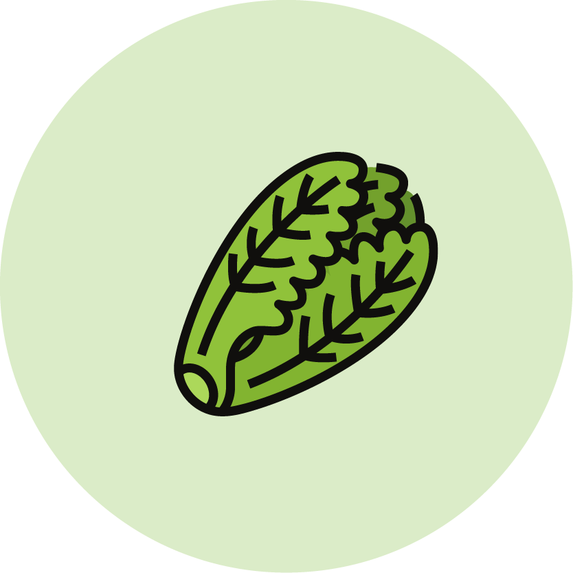 Romaine lettuce icon
