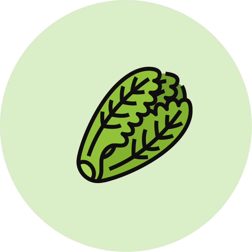 Romaine lettuce icon