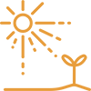 Icon of sunshine and plant growing