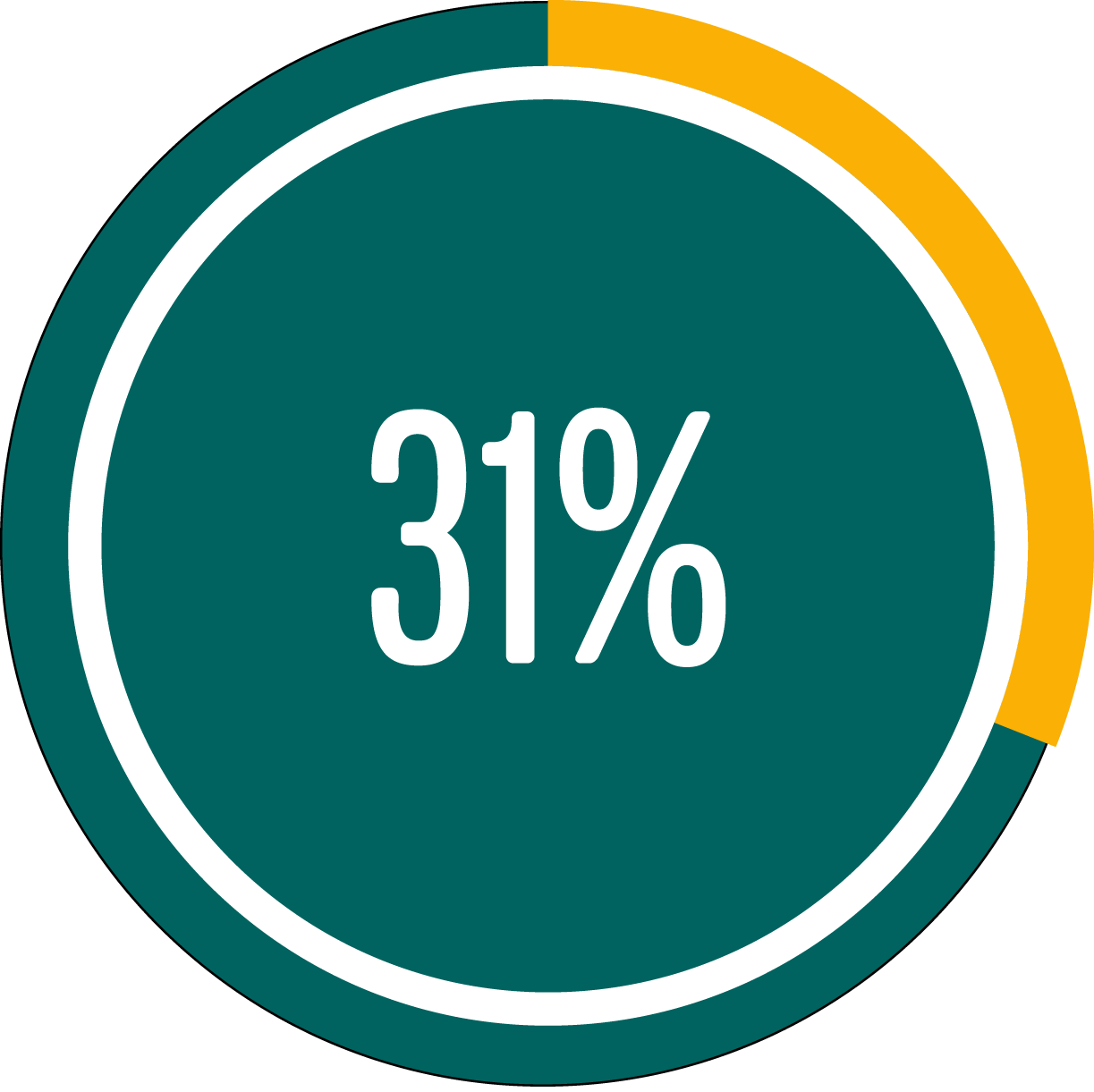 Circle graph showing 31 percent full Circle graph showing 31 percent full