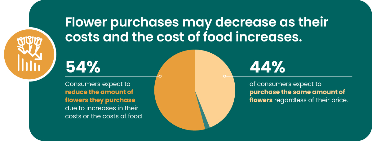 Stat graphic that shows flower purchases may decrease as their costs and the cost of food increases