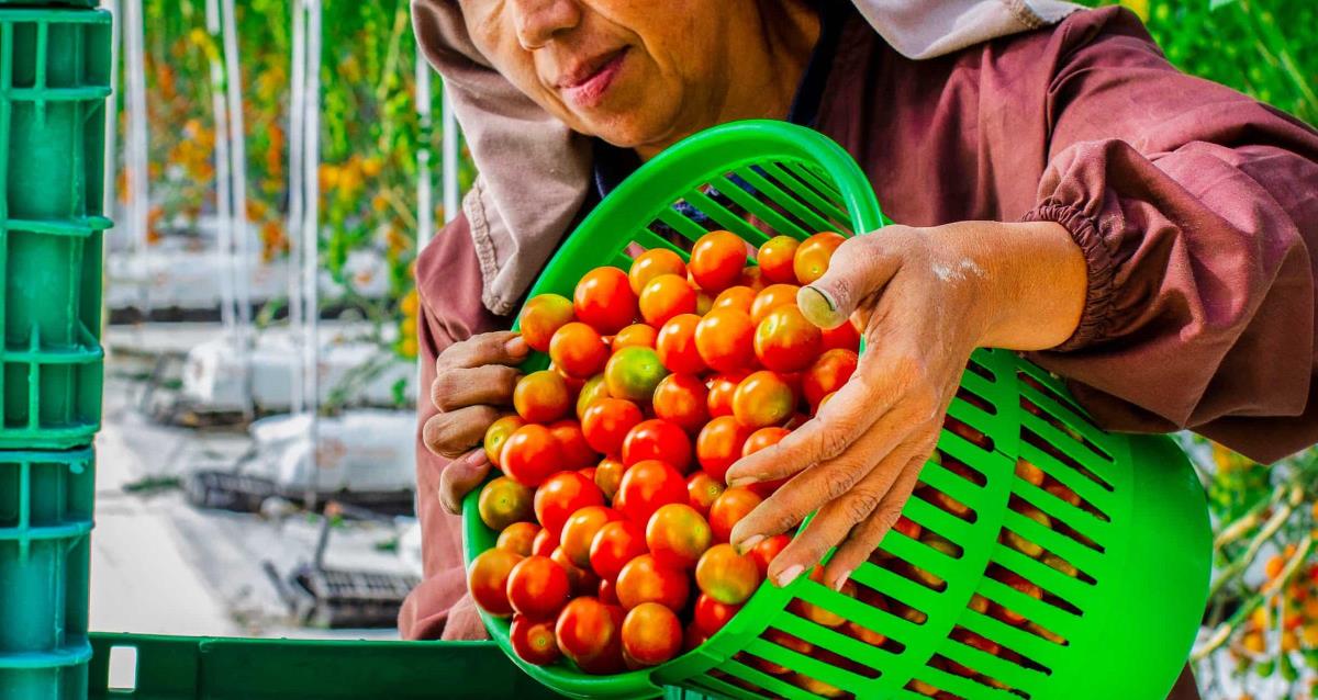 Transforming the Lives of Ag Workers Through Socially Responsible Initiatives