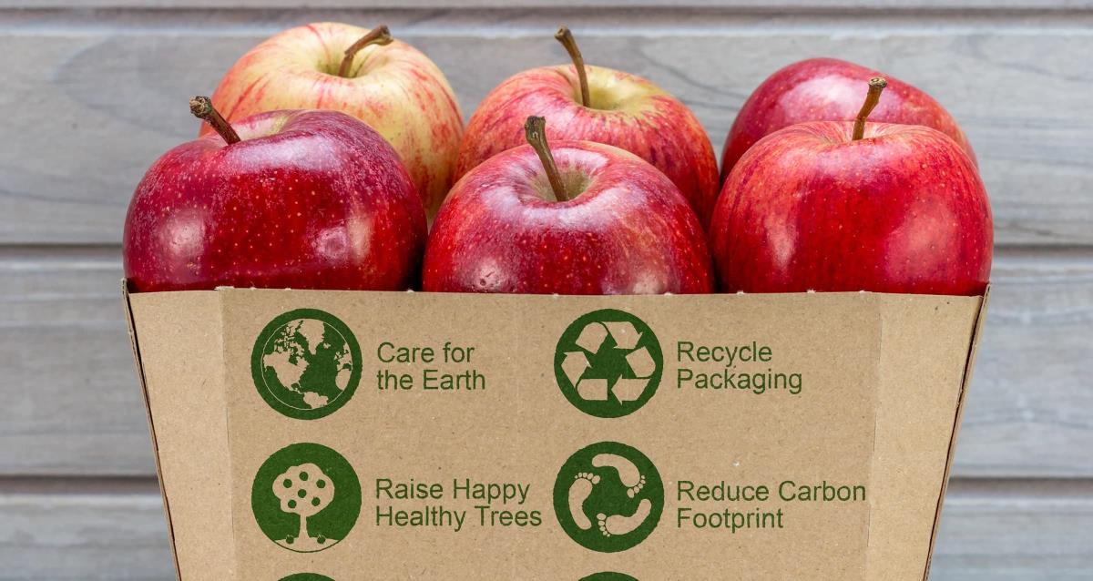 Key Sustainability Findings in 5 Top Consumer Markets