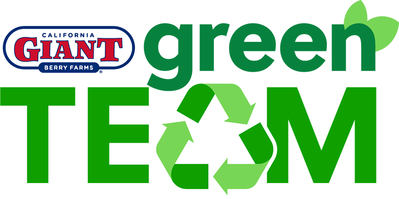 GIANT Berries Green Team logo