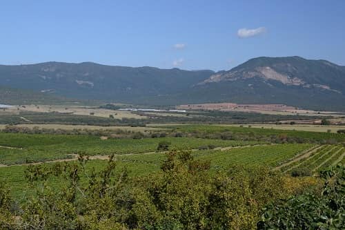 multiple fields of crops in foreground with mountains in the background