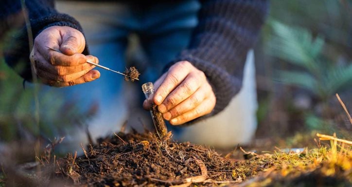 Person collecting soil in a vial using a metal tool, kneeling on the ground.