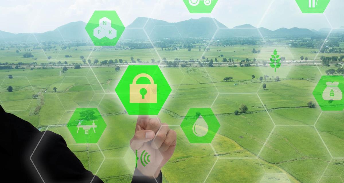 Cyber Security in Agriculture: What You Need to Know