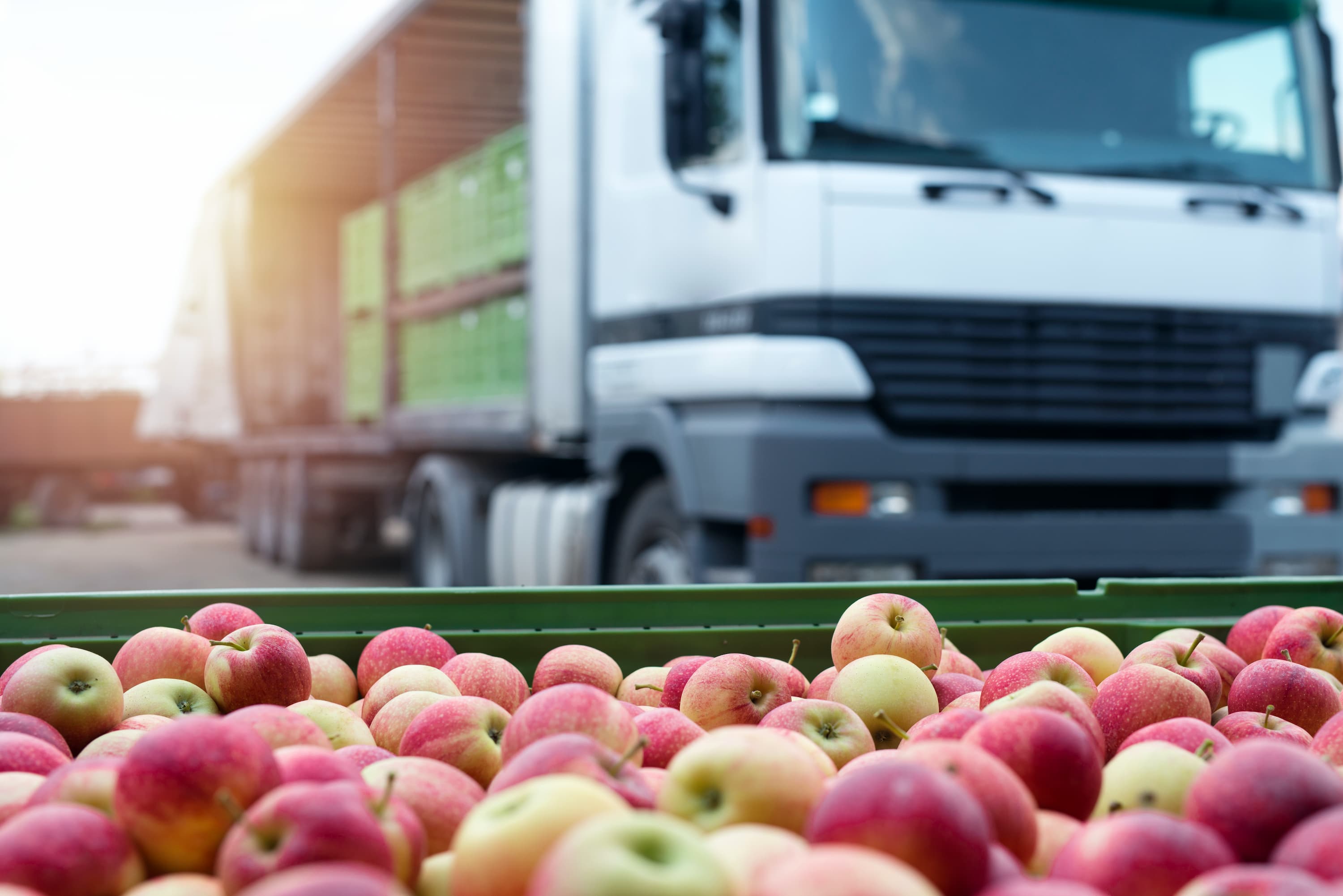 https://www.freshproduce.com/siteassets/images/tech/apples-loaded-to-refrigerated-truck.jpg