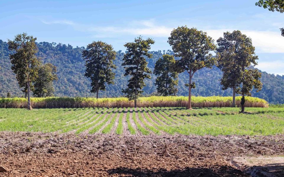 Farming near mountains.